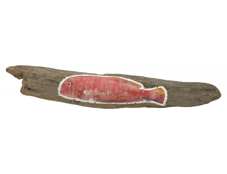 Acuarela "Raor" De Gappa