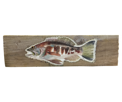 Acuarela "Serrano" De Gappa