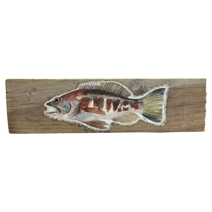 Acuarela "Serrano" De Gappa