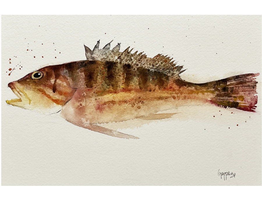 Acuarela "Serrano" De Gappa