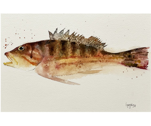 Acuarela "Serrano" De Gappa