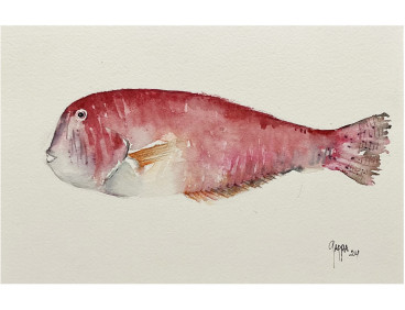 Acuarela "Raor" De Gappa
