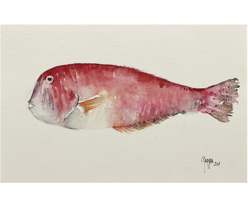 Acuarela "Raor" De Gappa