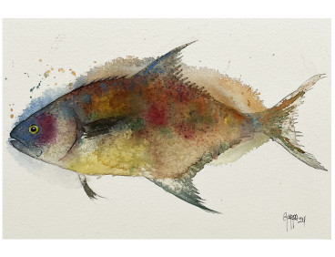 Acuarela "Colors" De Gappa