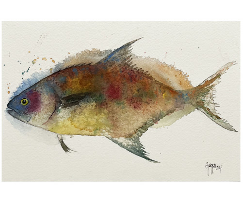 Acuarela "Colors" De Gappa