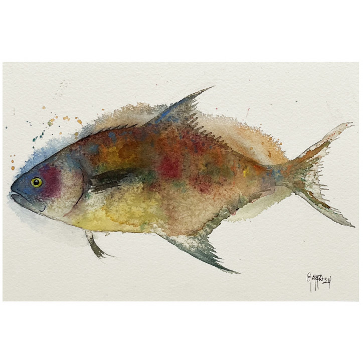 Acuarela "Colors" De Gappa
