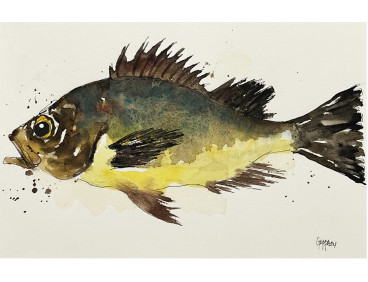 Acuarela "Verd" De Gappa