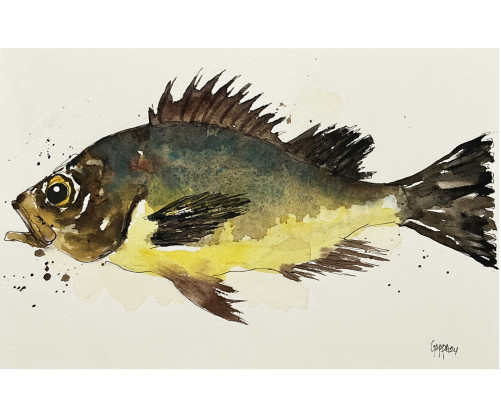 Acuarela "Verd" De Gappa