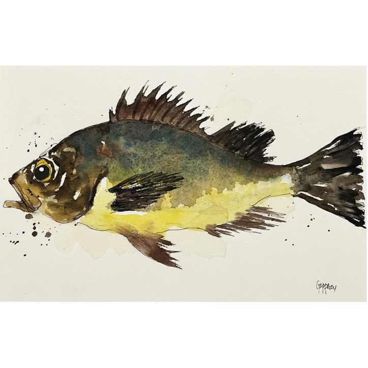 Acuarela "Verd" De Gappa