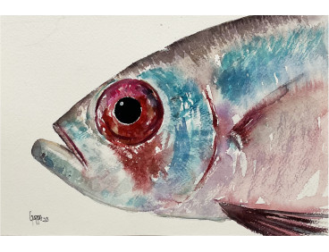 Acuarela "Palometa" De Gappa