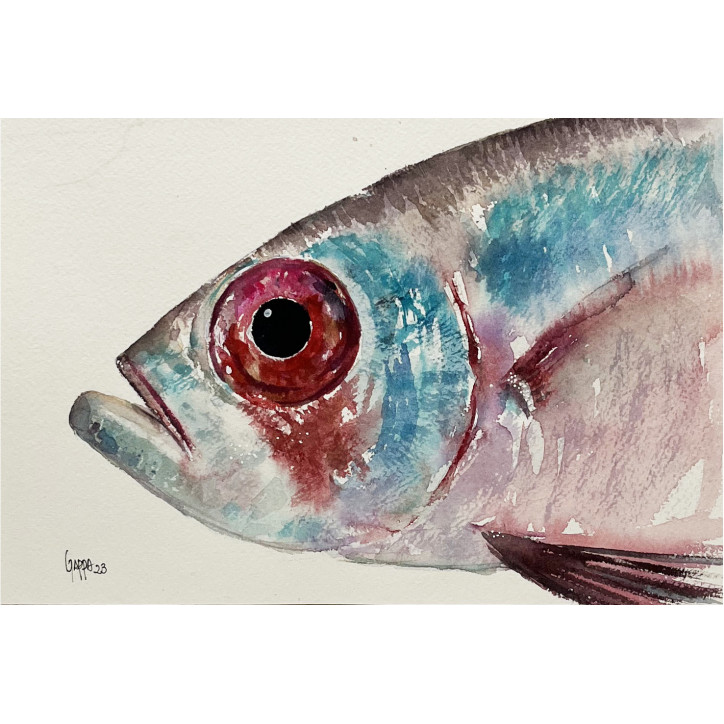 Acuarela "Palometa" De Gappa