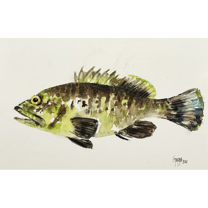 Acuarela "Groc" De Gappa