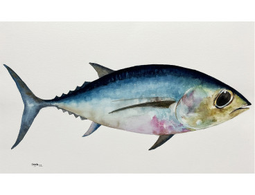 Acuarela "Tuna" De Gappa