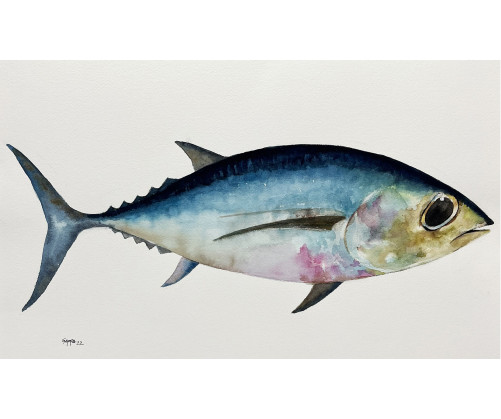 Acuarela "Tuna" De Gappa