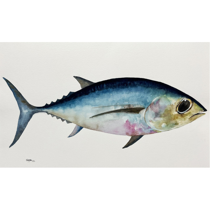 Acuarela "Tuna" De Gappa