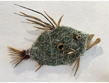 Gallo de San Pedro-Olivo Red Pesca