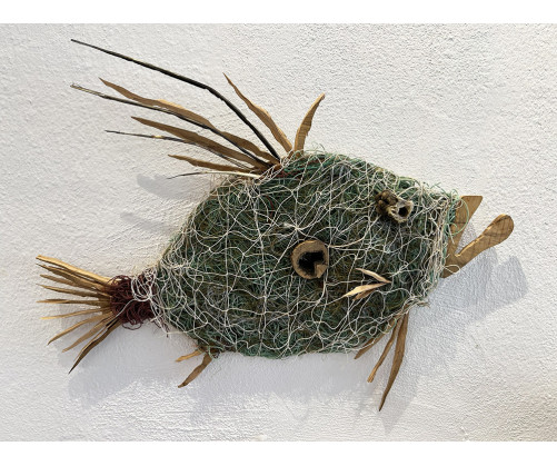 Gallo de San Pedro-Olivo Red Pesca