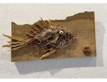 Cap Roig-Olivo Red Pesca