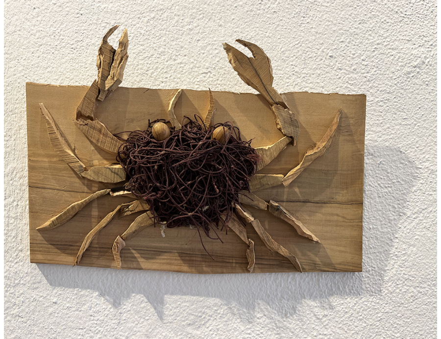 Cranc-Olivo Red Pesca
