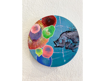 Obra original "Little Reef" David Monrós