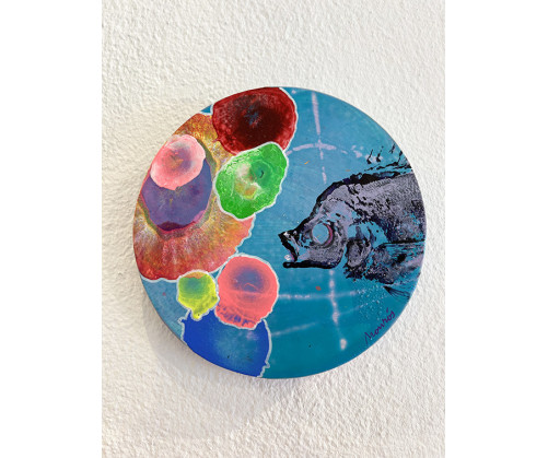 Obra original "Little Reef" David Monrós