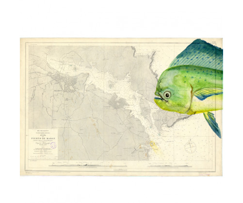 Carta Náutica Puerto de Mahón Enmarcada