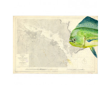 Carta Náutica Puerto de Mahón