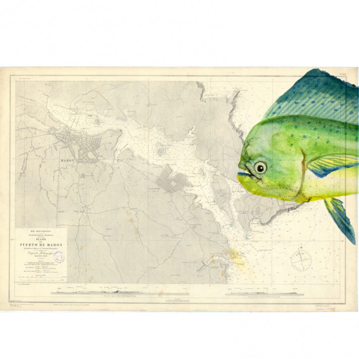 Carta Náutica Puerto de Mahón