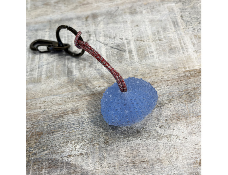 Llavero Erizo De Mar Resina Azul