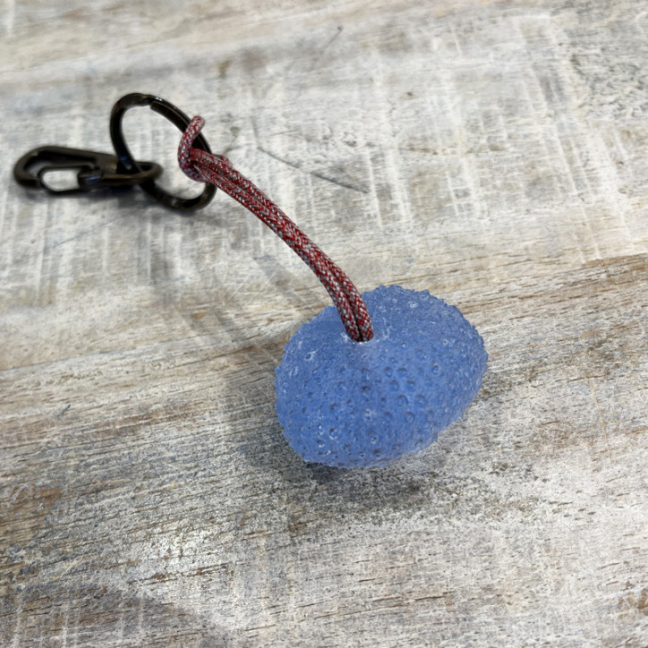 Llavero Erizo De Mar Resina Azul