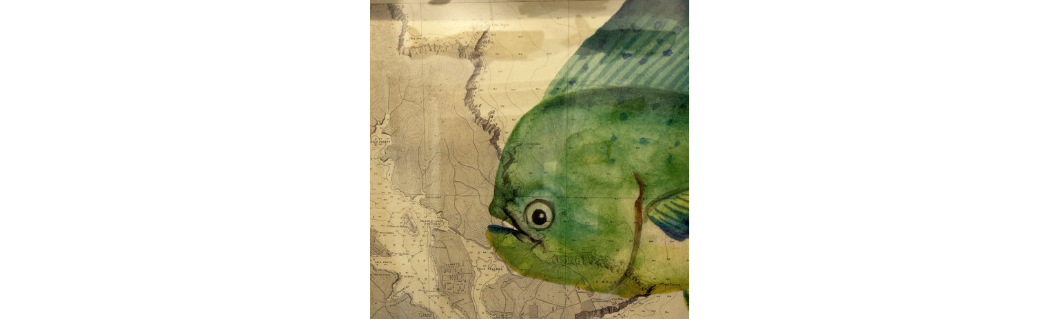 Prints Serie Limitada